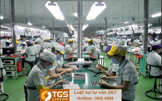 Luật TGS xin cấp thành công Giấy phép hoạt động cho thuê lại lao động cho Công ty TNHH Hoàng Kim Minh