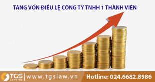Thủ tục tăng vốn điều lệ Công ty TNHH 1 Thành viên