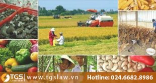 Dự án hỗ trợ phát triển sản xuất nông sản Việt